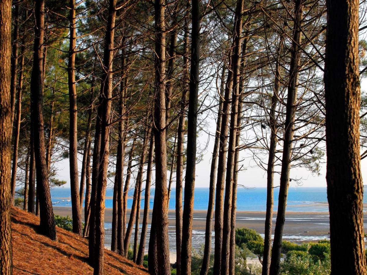 Arcachon Centre : Charmant T2 Avec Loggia, Parking Securise Et Proche Plage - Fr-1-420-61 外观 照片